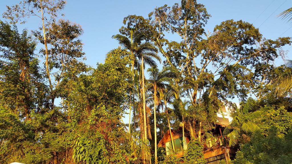Wasai Puerto Maldonado Eco Lodge Exterior photo